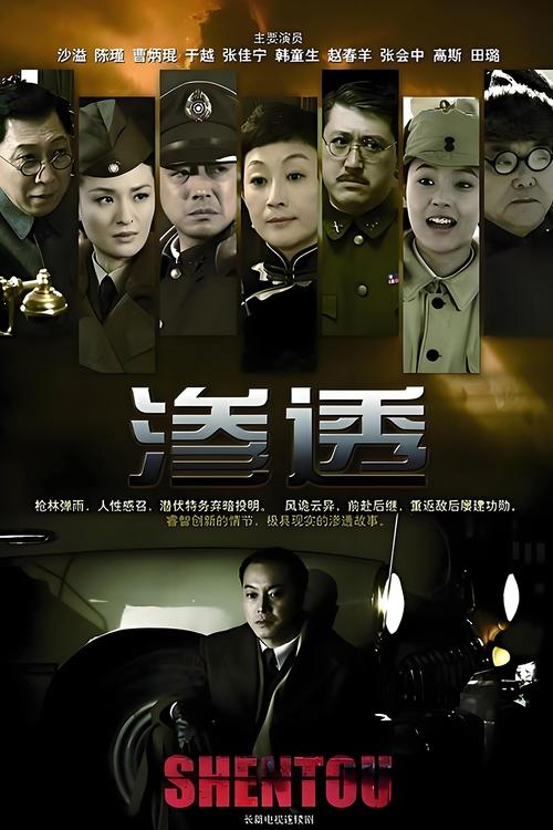 📺 电视剧｜渗透 (2013)⭐️ 评分: 6.0📽️ 类型: 悬疑🌍 地区: CN🎬 导演: 未知👥 主演: 沙溢 / 陈瑾 / 赵龙豪 / 于越 / 曹炳琨 / 张佳宁📺 共1季 (34集)📖 简介: 抗战胜利前夕，偏门偏科的军统特训班留级生许忠义（沙溢饰）被迫到即将开赴东北的中共部队，卧底期间被我军的言行仁义所感化，对共产党有了新的认识，决心向我党自首