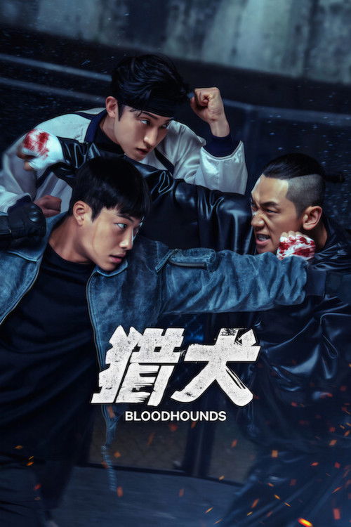 🎬 猎犬 (2023)🎭 类型：剧集⭐ TMDB评分：8.4/10🍅 豆瓣评分：6.8🖥 画质：2160p📹 视频：WEB-DL.DV.H.265💬 字幕：简/繁（内封）📦 大小：119.13GB👤 分享：匿名S01-S02 E01-E08 4K Netflix WEB-DL H.265 DDP 5.1 [杜比视界][韩语][内封简繁字幕]🔗 链接：123网盘📖 简介：两名年轻的拳击手与心地善良的放贷人联手对抗趁人之危的冷酷高利贷者