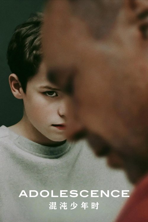 🎬 Adolescence (2025)🎭 类型：剧集⭐ TMDB评分：7.8/10🍅 豆瓣评分：8.8🖥 画质：2160p📹 视频：DV.H.265💬 字幕：简中（内嵌）📦 大小：31.54GB👤 分享：热心网友S01 2160p 杜比视界 H.265 10bit DDP5.1 内嵌简中字幕🔗 链接：123网盘📖 简介：一名 13 岁少年被控谋杀同学，他的家人、治疗师和负责此案的警探都想探查事情真相