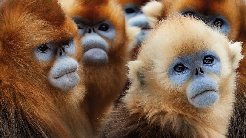 📺 电视剧｜七个世界，一个星球 (2019)⭐️ 评分: 8.5 / 地区: GB / 类型: 纪录🎬 导演: 未知👥 主演: 大卫·爱登堡📺 共1季 (7集)📖 简介: 数百万年前，不可思议的神奇力量将地壳撕扯得支离破碎，由此创造出七个蔚为壮观的大陆