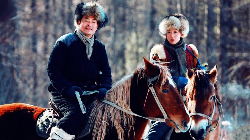 📺 电视剧｜闯关东中篇 (2009)⭐️ 评分: 8.0 / 地区: CN / 类型: 剧情🎬 导演: 未知👥 主演: 王茜华 / 苗圃 /...📺 共1季 (55集)📖 简介: 　　1931年到1949年，是中国现代史上极为重要的一段时期：百余年来，中华民族第一次打败了外国侵略者，获得民族独立，实现了民族解放；中国人民彻底埋葬了黑暗腐朽的半封建、半殖民地的社会制度，建立新中国，实现了全社会的解放