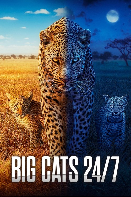 🎬 大猫全实录 (2024)🎭 类型：剧集⭐ TMDB评分：8.4/10🍅 豆瓣评分：暂无评分🖥 画质：1080p📹 视频：WEB-DL.H.264💬 字幕：简/繁（内封）📦 大小：41.07GB👤 分享：匿名S01-S02 1080p WEB-DL H.264 AAC 2.0 [内封简繁字幕]🔗 链接：123网盘📖 简介：这部系列纪录片拍摄于非洲大陆上最具活力的地区之一，博茨瓦纳的广阔奥卡万戈三角洲