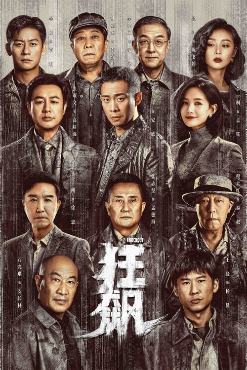 名称：狂飙描述：京海市一线刑警安欣（张译 饰），在与黑恶势力的斗争中，不断遭到保护伞的打击，始终无法将犯罪分子绳之以法