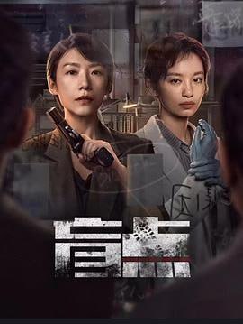 盲点 (2025)简介：在阴沉的蓝港市，女刑警安颖如都市脉搏的守望者，直面着城市的阴暗面
