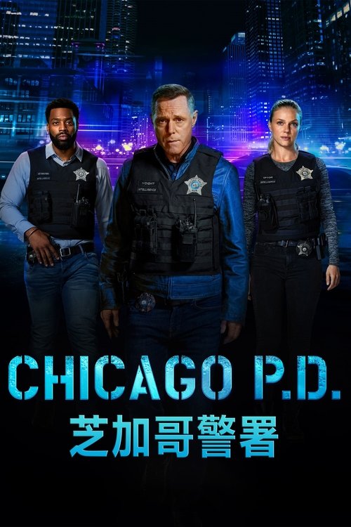 名称：芝加哥警署描述：芝加哥警署的第21辖区有两组完全不同的警察