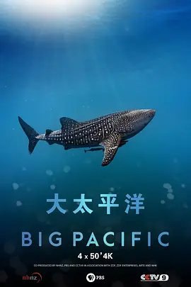 资源的名称：【2017】【4K蓝光原盘+高清MKV版】大太平洋4K REMUX (2017)【纪...描述：导演: 苏·霍顿主演: 金大贤类型: 纪录片制片国家/地区: 中国大陆 / 新西兰 / 美国 / 德国语言: 英语首播: 2017-12-31(中国大陆)集数: 5单集片长: 50分钟又名: Big Pacific中央电视台与新西兰自然历史公司（NHNZ）、美国公共广播电视台（PBS）、德国电视二台（ZDF）等机构联合摄制的5集大型自然类高清纪录片《大太平洋》，将于2017年12月31日至2018年1月4日，每天21:00在纪录频道播出