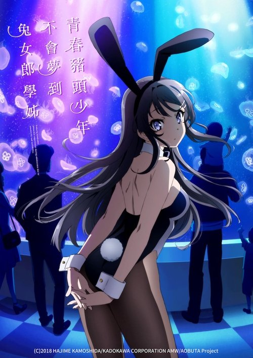 青春ブタ野郎はバニーガール先輩の夢を見ない S02 E10已更新，大小1.36GB名称：青春猪头少年不会梦到兔女郎学姐简介：思春期综合症，这是一种只发生在易敏感和不稳定的青春期的、不可思议的现象