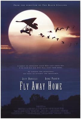 伴你高飞 (1996)评分：8.8类型：剧情,家庭,冒险 简介：13岁的艾米（安娜·帕奎因AnnaPaquin饰）在一场交通事故中失去了母亲，只好被送到与母亲离异多年的父亲（杰夫·丹尼尔斯JeffDaniels饰）身边