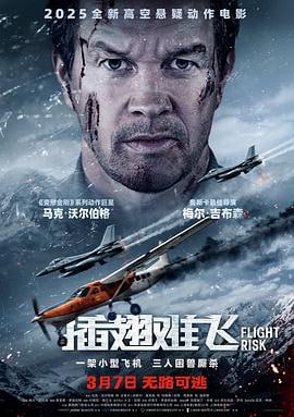 插翅难飞 (2025)评分：5.2类型：剧情,动作,惊悚,犯罪 简介：万尺高空之中，小型飞机舱内，警察、证人、杀手，三人困兽厮杀
