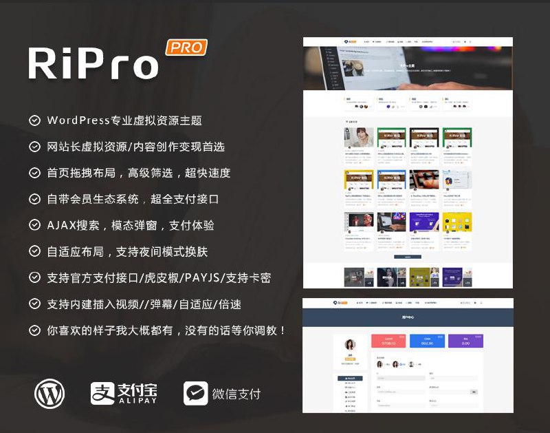 资源的名称：RiPro正版主题描述：全新发布，更加专业，资源，素材，源码站运营首选，支付宝原生/当面付、微信扫码/H5支付、码支付、虎皮椒、PAYJS