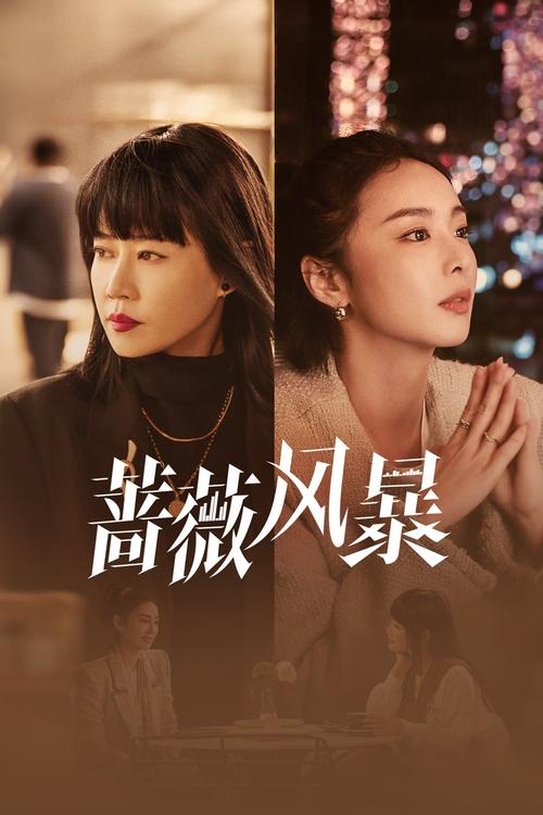 蔷薇风暴（2024）4K 高码 更至26名称：蔷薇风暴简介：2015年互联网经济腾飞，资本市场泥沙俱下，已届不惑的财经杂志主编谢琳慧发布了某投资机构合伙人婚变及违规商业操作的丑闻