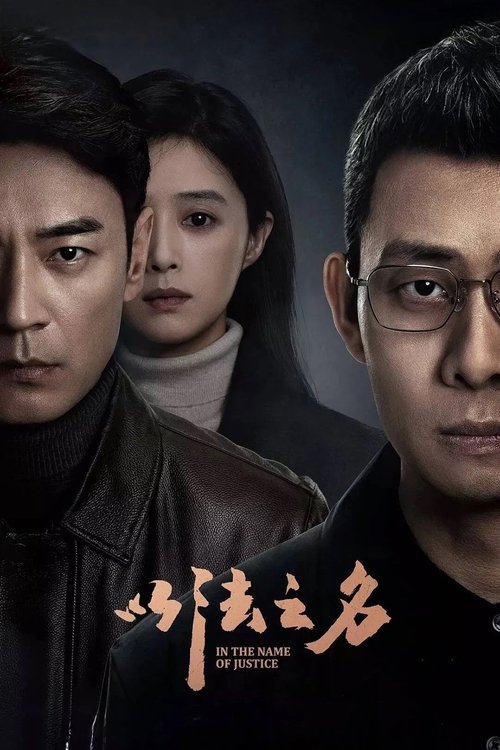 名称：以法之名描述：本剧讲述了海东省检察院检察官洪亮、郑雅萍等人在复查东平市“万海黑社会性质组织案”过程中发现司法人员在案件中的徇私枉法