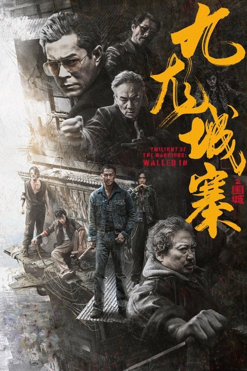 名称：九龙城寨之围城描述：九龙城寨危机四起，守护之战一触即发！本片讲述了一个发生在80年代的香港的故事，一个落难青年误闯充满神秘气息的九龙城寨，因而卷入一场恶人夺城，众人殊死保卫栖息之地的风云之战