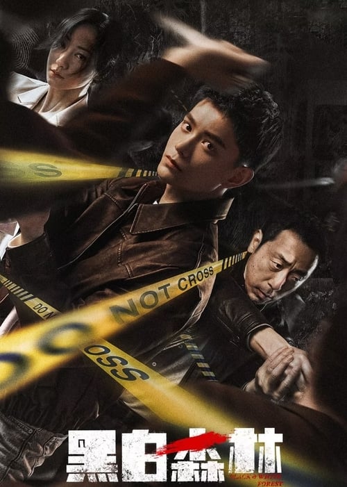 《黑白森林（2024）》已更新：├── 🎞️S01E19.mkv└── 🎞️S01E20.mkv名称：黑白森林简介：警察文彬彬在支队长邢良的协同帮助下寻找自己丢失的配枪，历经磨难矢志不渝终于探明真相，擒获幕后真凶的故事