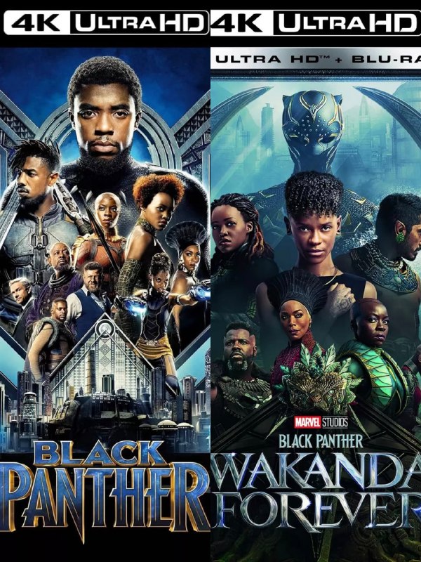 名称：《黑豹》两部曲合集 蓝光原盘REMUX [国英双语] [内封特效字幕]描述：影片列表：【SGNB-041】《黑豹 (2018)》4K 杜比视界 蓝光原盘REMUX [国英双语] [内封中英特效字幕]【SGNB-289 V2】《黑豹2 (2022)》4K 蓝光原盘REMUX [国英双语] [内封中英特效字幕]链接：