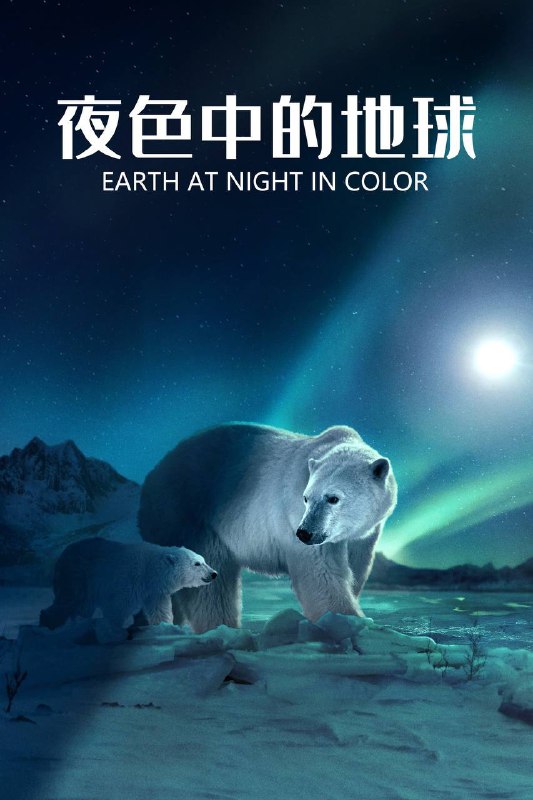 📺 电视剧｜夜色中的地球(2020)⭐️ 评分: 8.1 / 地区: GB / 类型: 纪录🎬 导演: 未知👥 主演: 汤姆·希德勒斯顿📺 共2季 (12集)📖 简介:  🎬 视频数量: 12 | 总大小: 58.86 GB | 平均大小：4.90 GB | 实际视频数量: 12 | 已和谐：0🏷 视频质量: 2160p · H.265 · AppleTV · Web · Dolby Digital Plus+Dolby Atmos 5.1 · DOLBY VISION🔗 链接: 